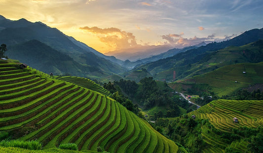 The Rise of Golf in Asia: Exploring the Premier Courses and Cultures